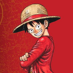 One Piece OP13 Successeur