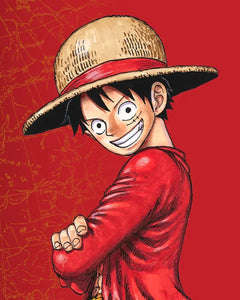 One Piece OP13 Successeur