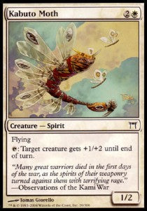 Kabuto Moth