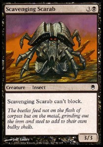 Scavenging Scarab