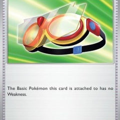 Protective Goggles