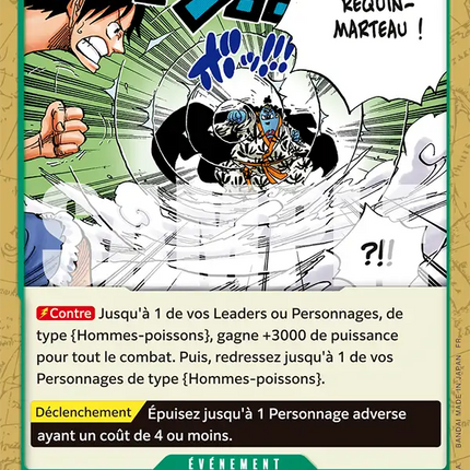 EB04-020 Vague du requin-marteau