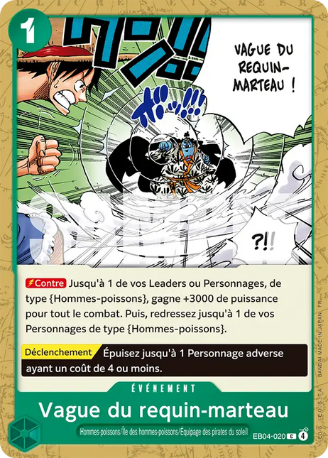 EB04-020 Vague du requin-marteau