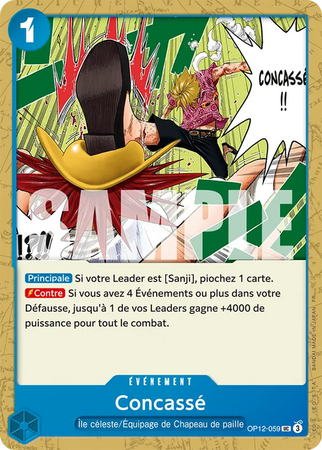 OP12-059 Concassé x4