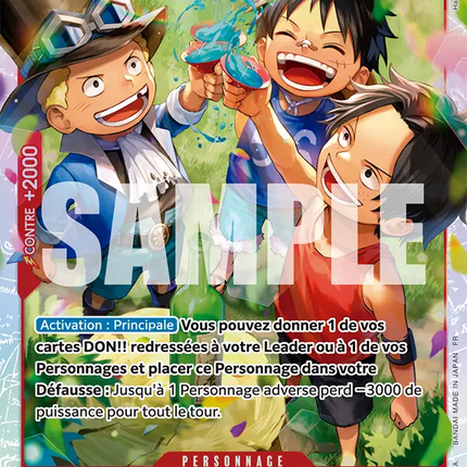OP13-007 Ace, Sabo et Luffy