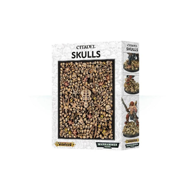 Citadel Skulls, boîte de 340 crânes